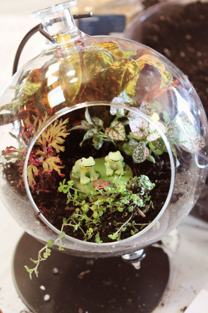 Events – Suburban Lawn & Garden