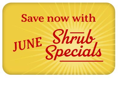 Save now with our June Shrub Specials