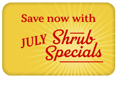 Save now with July Shrub Specials
