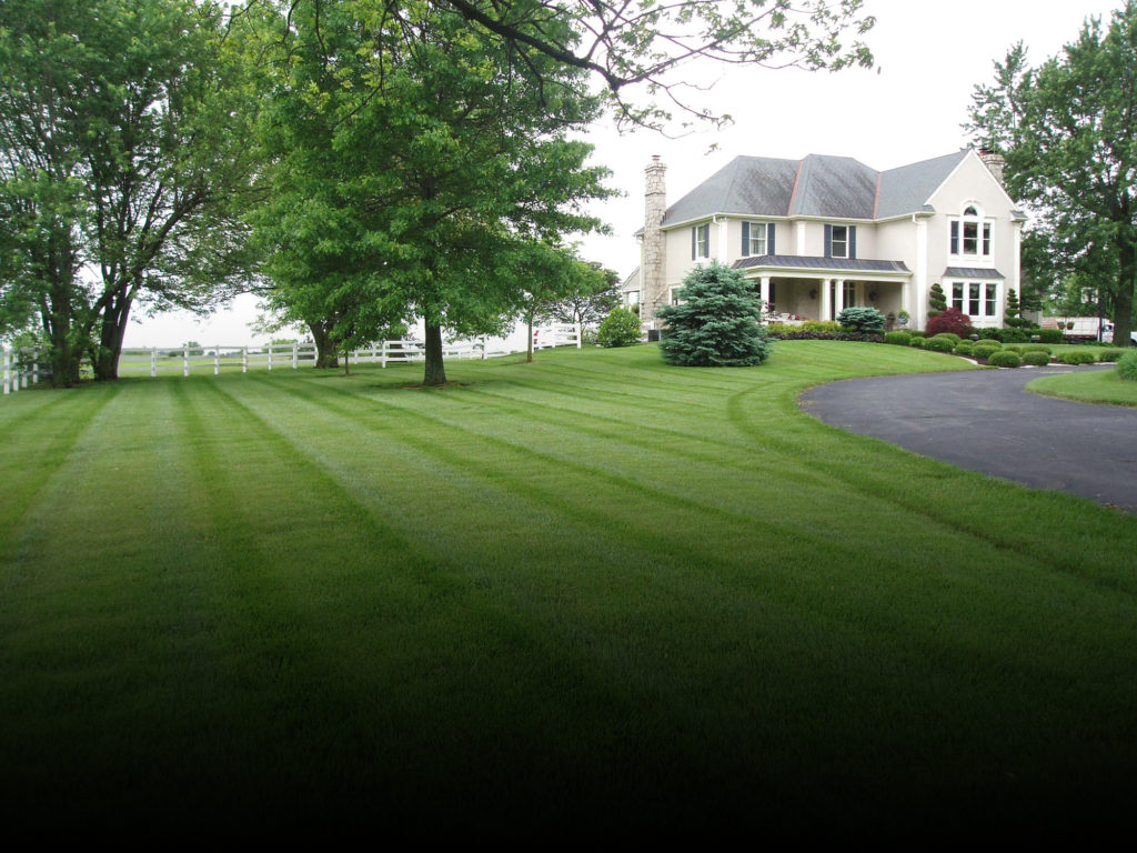 Suburban lawn shop care