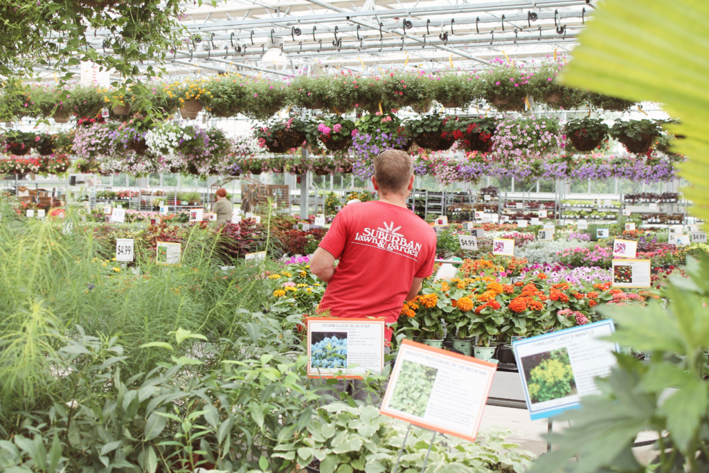Louis Watering Plants