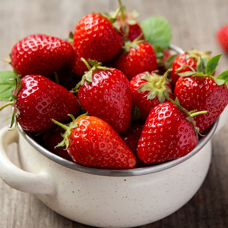 Growing Strawberries