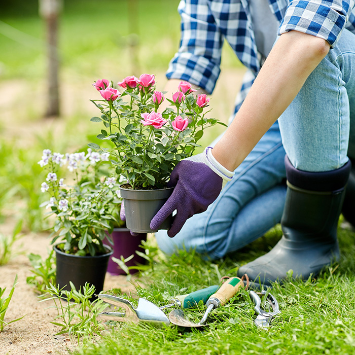 Spring planting: When is too early?