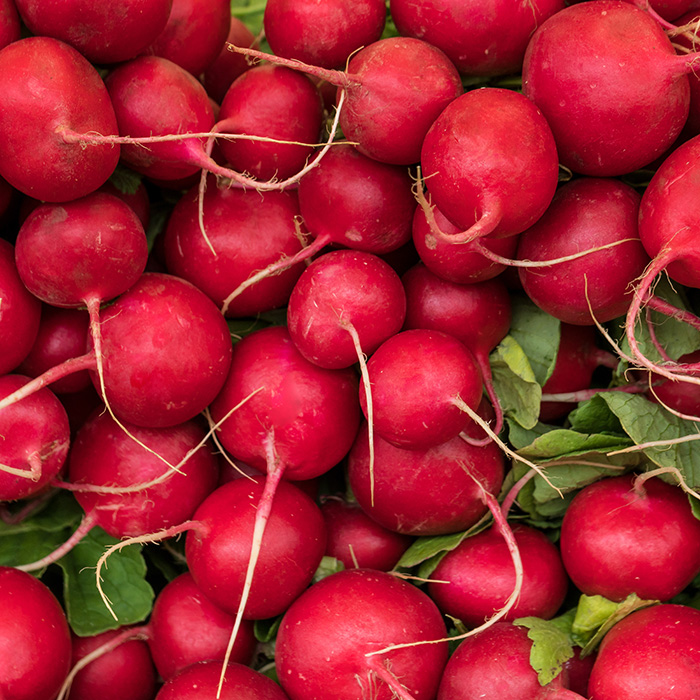 Radishes