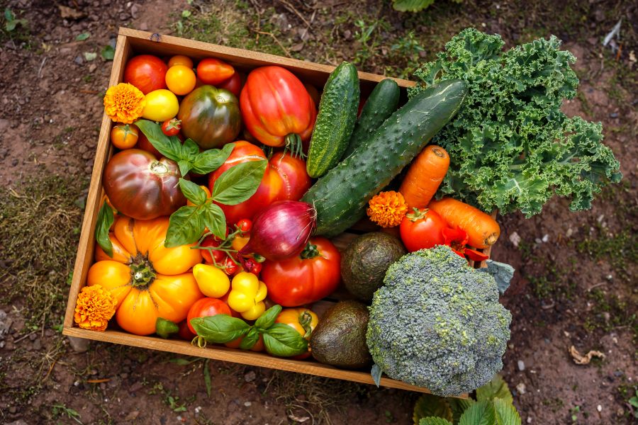 Vegetable Planting Calendar