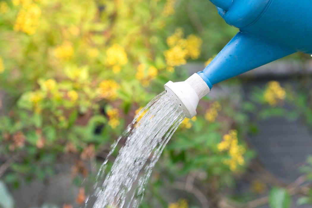 Watering can