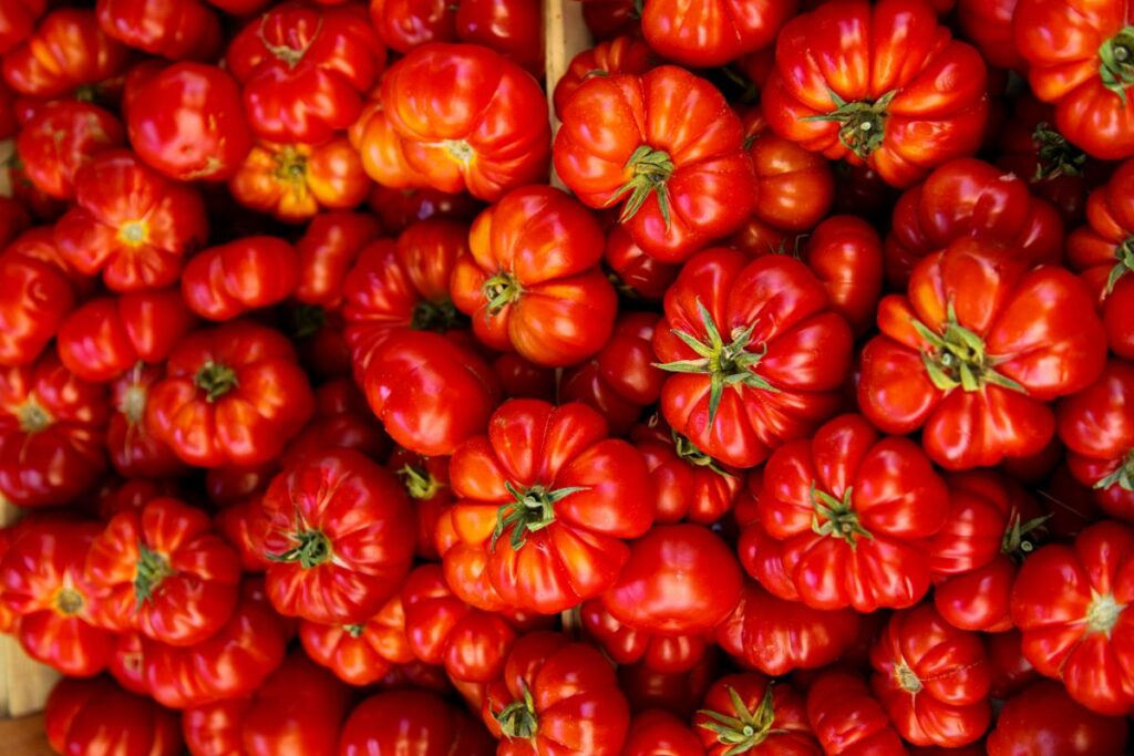 Tomato Care & Common  Problems