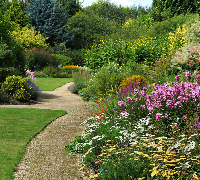 Low Maintenance and Drought Tolerant Plants