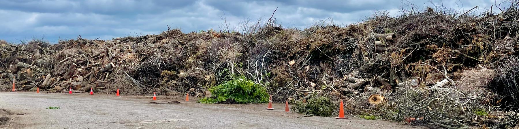Yadwaste-full2 Large pile of logs, branches and other yard waste