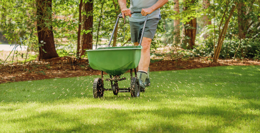person using a seed spreader to do seeding in their yard
