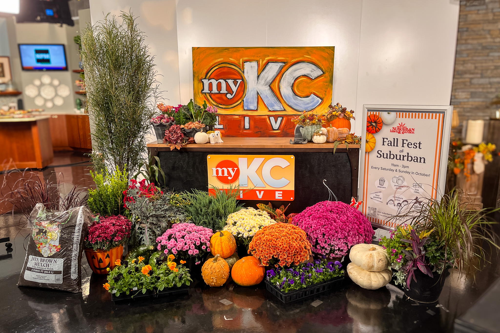 IMG_0765_MyKCLive_Set | Suburban Lawn & Garden