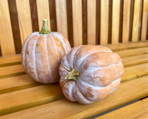 IMG_9703_Pumpkin_AutFr #image_title