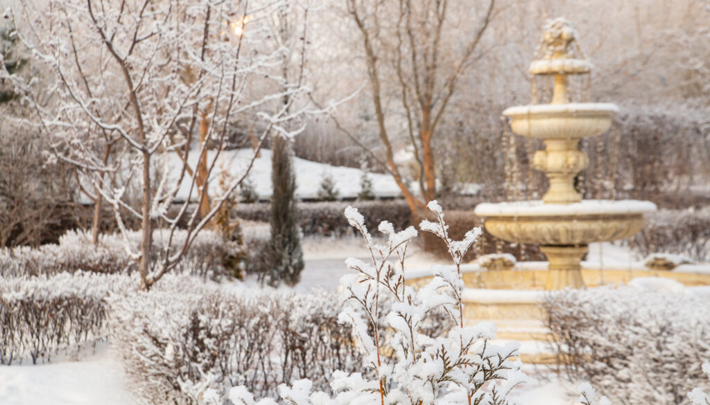 Protect Your Outdoor Decor: Winterize Fountains, Plants, & More