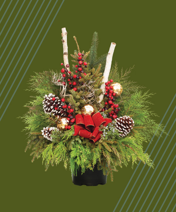 WINChristmasMarket_R2_ComboPots600px | Suburban Lawn & Garden