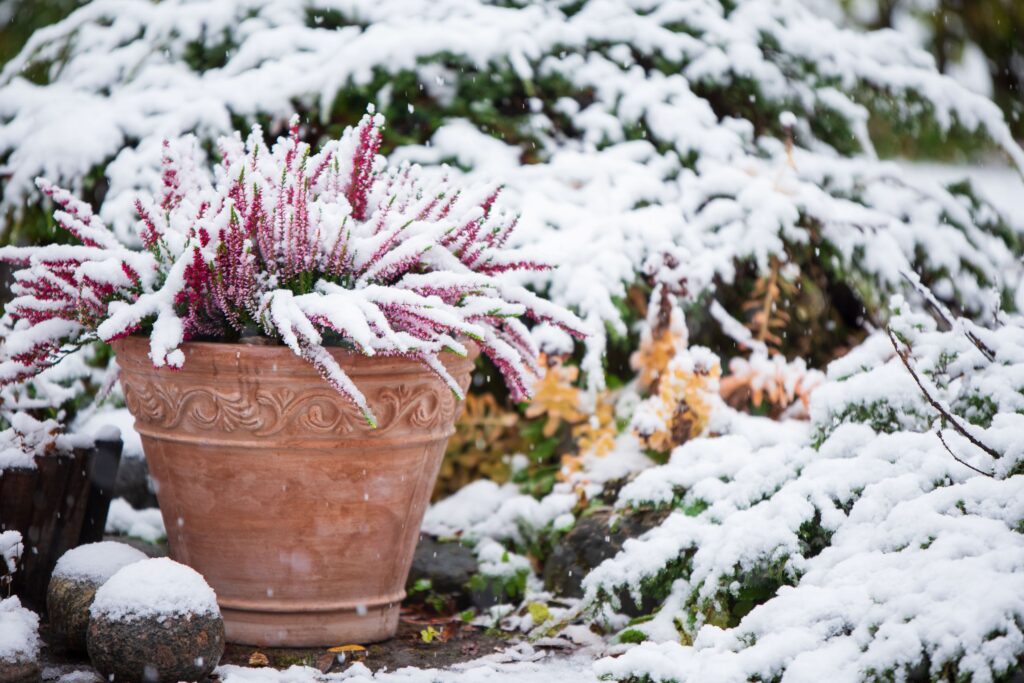 A Fresh Start to Winter: Simple Tips to Prep Your Home for Winter & Snow