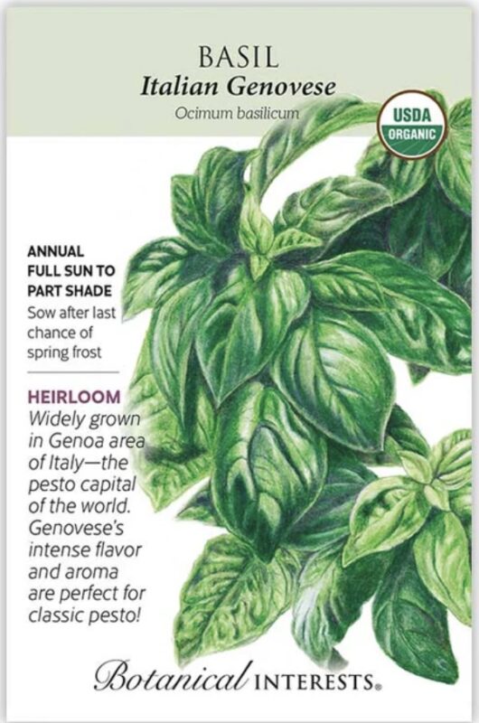 Seed_Basil_BIN6027 #image_title