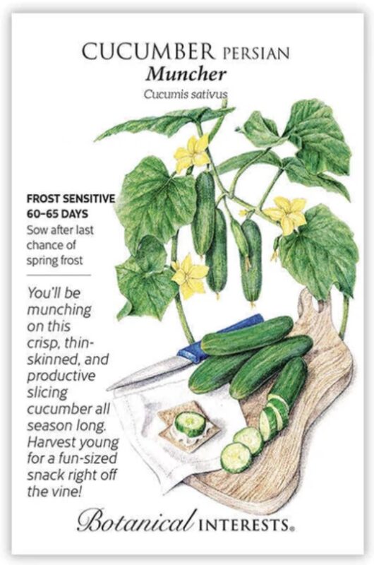 Seed_cucumber_BIN0371 #image_title