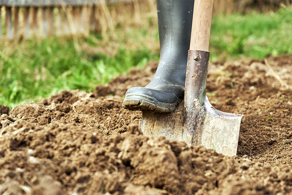How to Amend Clay Soil in Kansas City
