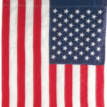 264thOfJuly_Shoptile_patriotic #image_title