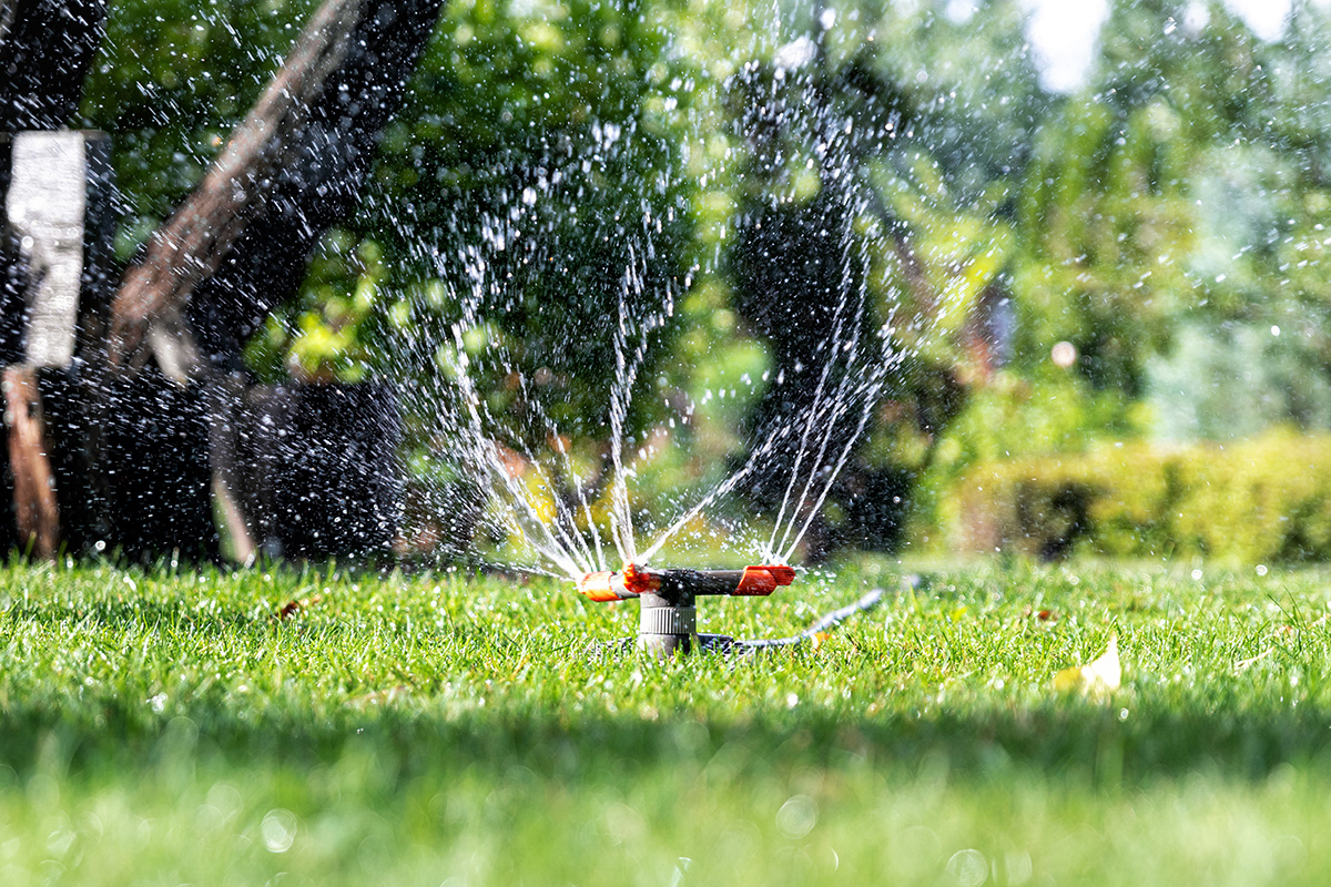 Watering_Sprinkler_Lawn | Suburban Lawn & Garden