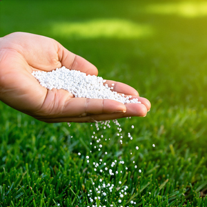 Lawn Fertilizer Application | Suburban Lawn & Garden Hand applying lawn fertilizer granules across healthy green grass