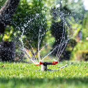 Lawn Sprinkler Watering Grass | Suburban Lawn & Garden Lawn sprinkler watering healthy green grass in a sunny yard