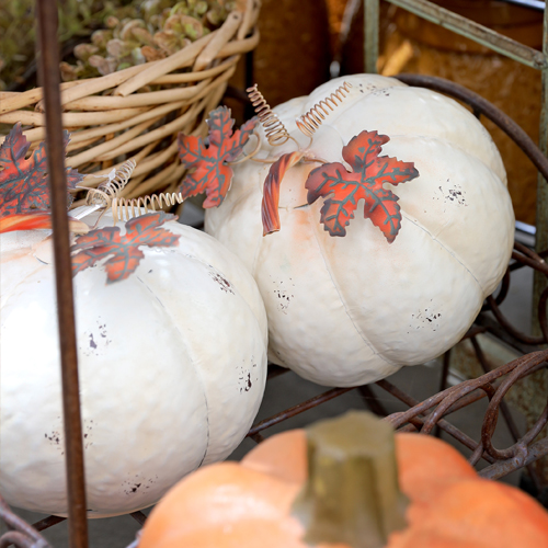 Fall Decor