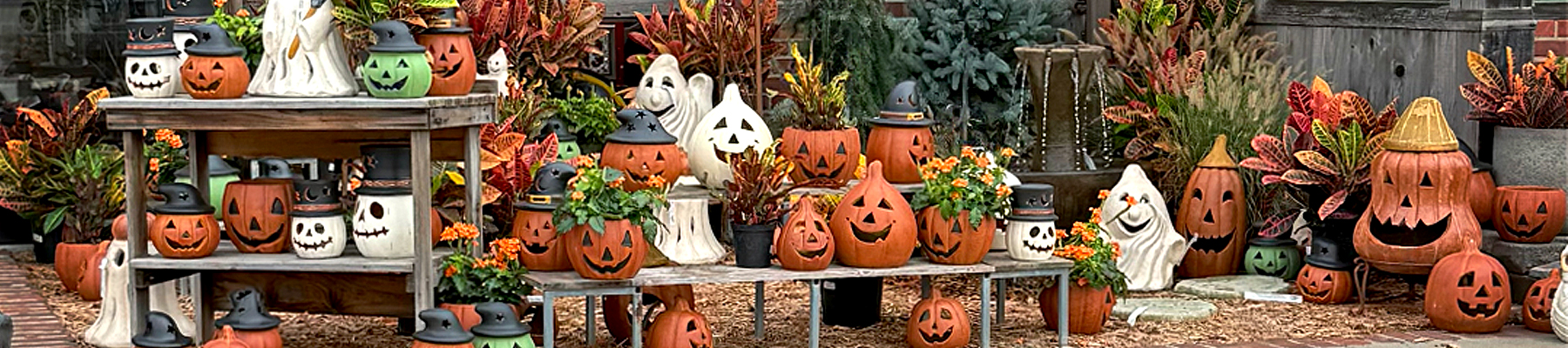 Fall Décor Ceramic Pumpkins