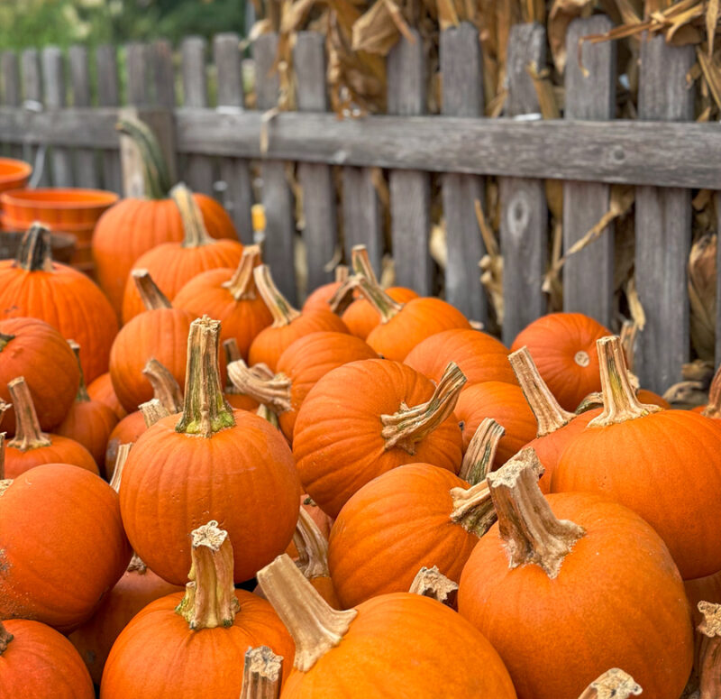 October Pumpkins