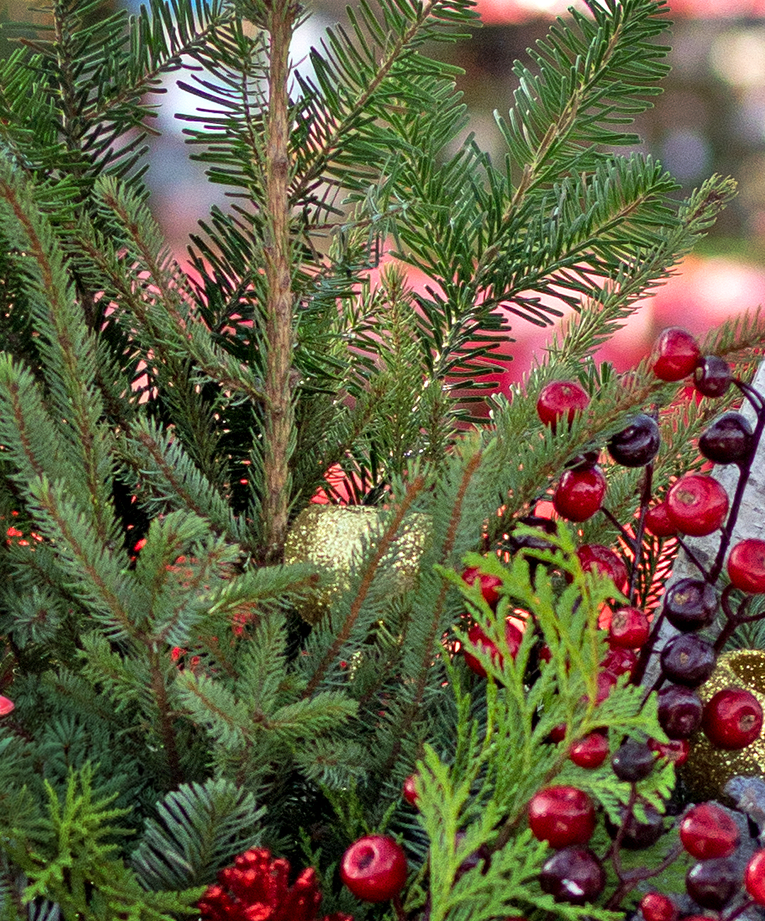 Cut_Greens_2b | Suburban Lawn & Garden Holiday planter workshops