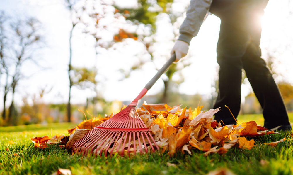 FallCleanup-Blog_460503846 #image_title