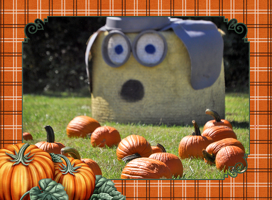 October Fall Fest 2026 | Suburban Lawn & Garden October fall fest 2026