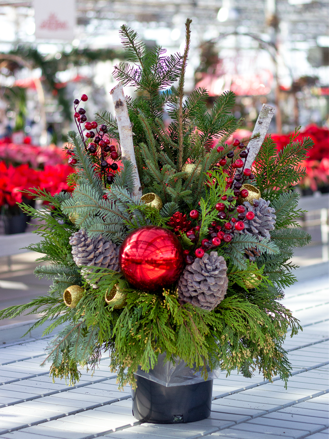 Holiday_Container | Suburban Lawn & Garden Holiday container